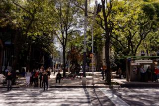 Master Suite a few steps Reforma & US Embassy - 6