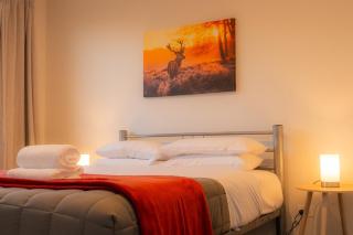 Totara Haven - Twizel - 7