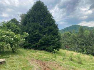 5BR Farm Retreat with Hot Tub & Views near Asheville - Leicester - 1