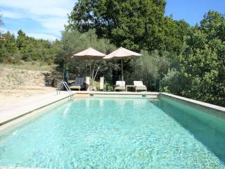 Stylish house with heated pool in Lacoste - Lacoste - 1