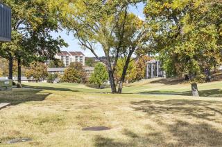 Royal Ridge - Modern Condo for 4 - Branson - 3