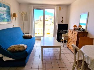 Studio Climatisé Proche de la Mer avec Parking et Terrasse - Banyuls-sur-Mer - FR-1-309-74 - Banyuls-sur-Mer - 3