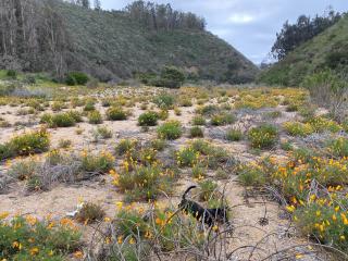 TunquenDomo - Algarrobo - 8