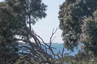 Bayview Cottage - Serene Escape between Beach & Bay - Blairgowrie - 7