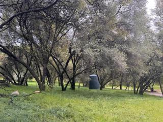 Bear Hollow by Sequoia National Park - Three Rivers - 5