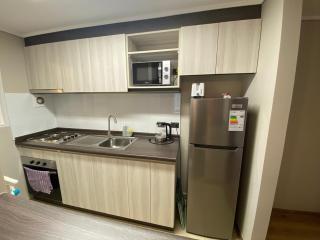 Fully equipped apartment in Valdivia - Valdivia - 9