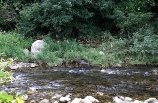 Hongcheon Gaon Resort Village Glamping - Hongcheon - 5