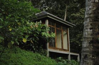 Bali Secret Jungle - Meliling - 2