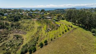 Awaawa Yurts - Tāne - - 9