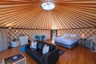 Awaawa Yurts - Tāne - - 6