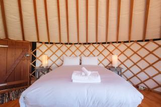 Awaawa Yurts - Tāne - - 5