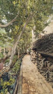 Villa laguna - - 1
