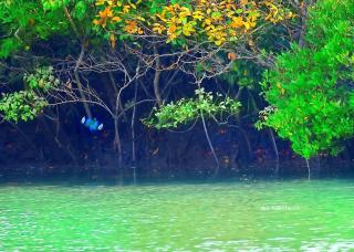 Jo'stel Hotel Tufan - Purbbadulki - 3