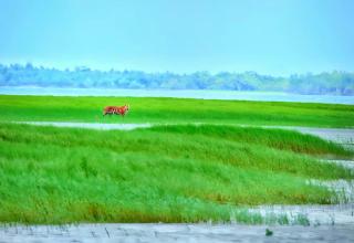 Jo'stel Hotel Tufan - Purbbadulki - 4