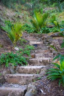 Flagstaff Hill Estate- New Luxury Listing Promo - Russell - 8