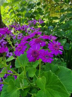 The Entire Mangamaunu Retreat - 7