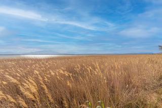 Canet plage face à la mer - 9