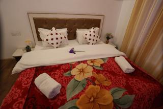 Stanzin Manepa Homestay - Leh - 8