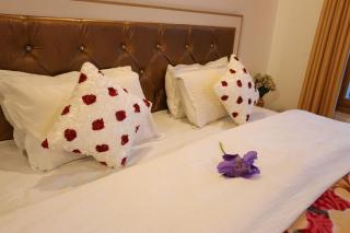 Stanzin Manepa Homestay - Leh - 6