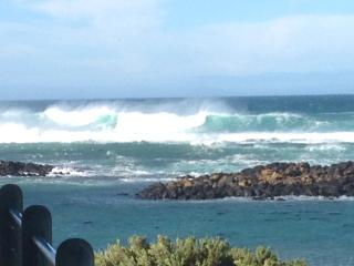 Wytonia Beachfront Accommodation - Port Fairy - 4
