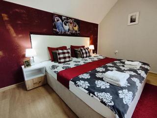 Apartments NS family - Novi Sad - 9