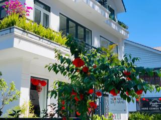 Ngôi nhà đầy nắng - Sunshine House 37A - Da Lat - 9
