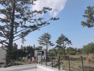 Sogil inner Forest - 6