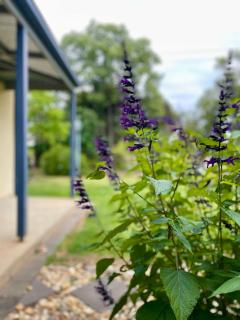 Manas Guesthouse - 7