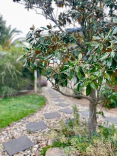 Manas Guesthouse - 5