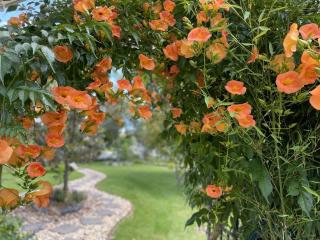 Manas Guesthouse - 4