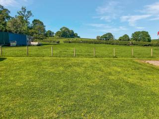 Tilly - Uk49798 - Brecon - 8