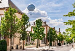 Avenue de Champagne 1 Chambre - 4