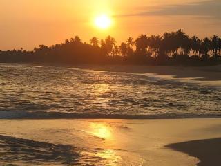 Hotel Tangoreef - Tangalle - 3