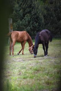 Agroturystyka w Dolinie Raty - - 7