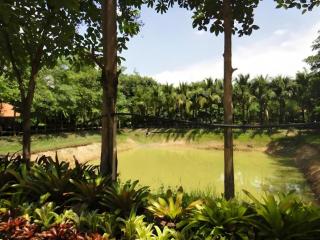 Rai Sai Luang Resort - Ubon Ratchathani - 4