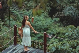 Harsa Sanctuary by Pramana Villas - 9