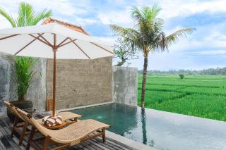 Kemawan Villas - Mountain and Ricefields View - Ubud - 0