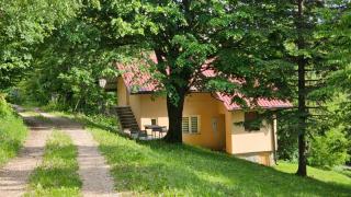 Vila Lipov Hlad Rajac - Polom - 7