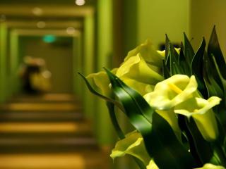 Milan Fashion Hotel - Shenzhen - 5