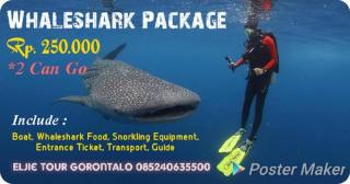 Eljie Hotel - Gorontalo - 1