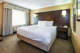 Comfort Inn & Conference Centre Toronto Airport - Toronto - 2