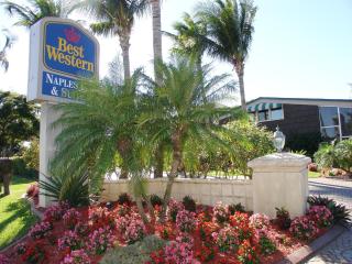 Best Western Naples Inn & Suites - 8