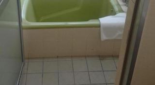 Hotel Honjin - Kumamoto - 3