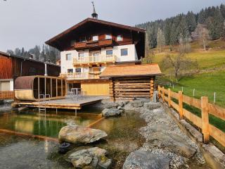 farmhouse with swimming pond and hot tub - Dorf - 0