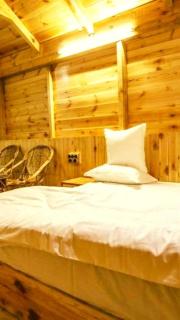 Driftwood Den - Dalhousie - 0