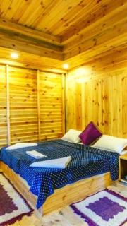 Driftwood Den - Dalhousie - 6