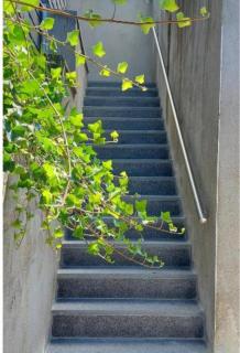 Nazareth logement Un Magnifique logement de vacances - Bastogne - 9