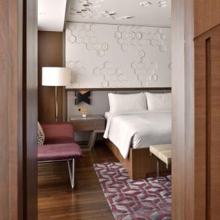 Hotel Suhana Plaza Near IGI Airport Delhi - Nuova Delhi - 3