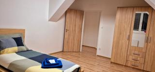 City Center Apartments - Fontána Obilní trh - Brno - 5