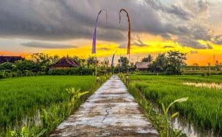 Padiku Villa Semana Private Pool - 6